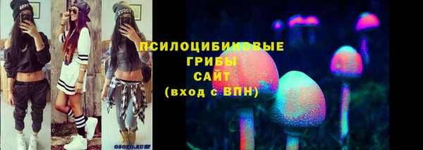 индика Каменка