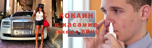 соль ск Каменногорск