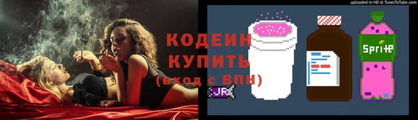 индика Каменка