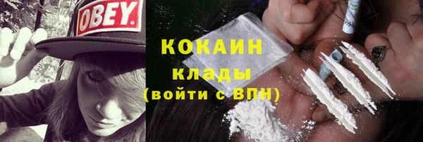 СК Алексин